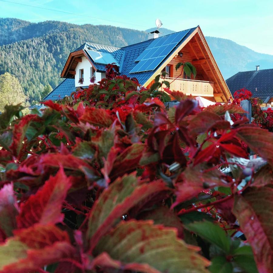 Al Sentiero Di Charly Bed & Breakfast Tarvisio Dış mekan fotoğraf