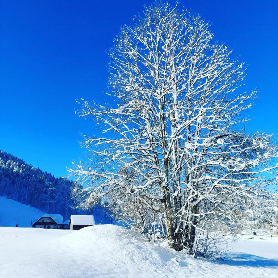Al Sentiero Di Charly Bed & Breakfast Tarvisio Dış mekan fotoğraf