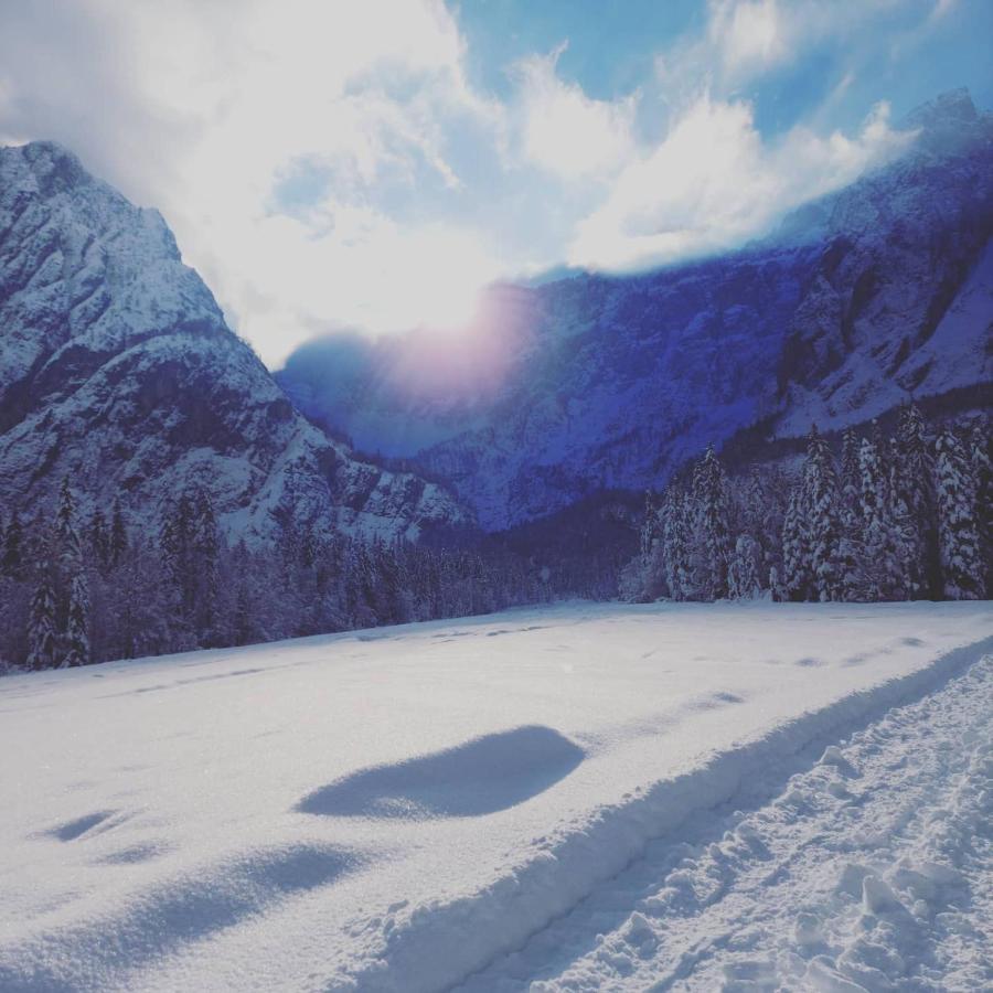 Al Sentiero Di Charly Bed & Breakfast Tarvisio Dış mekan fotoğraf