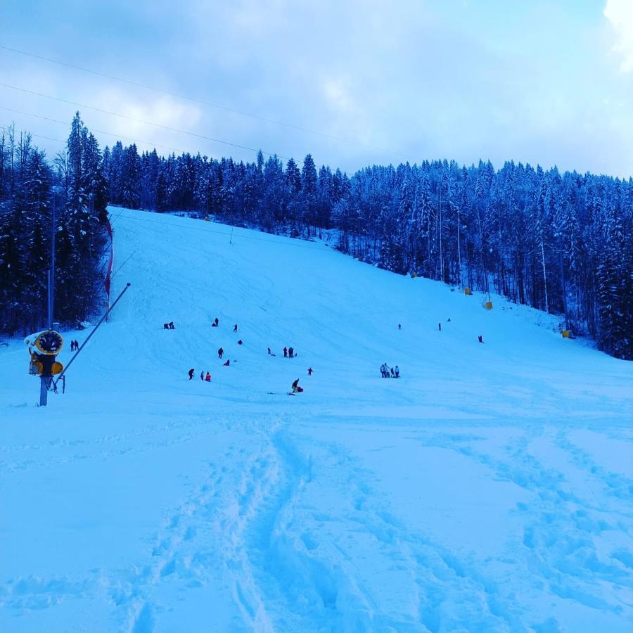 Al Sentiero Di Charly Bed & Breakfast Tarvisio Dış mekan fotoğraf