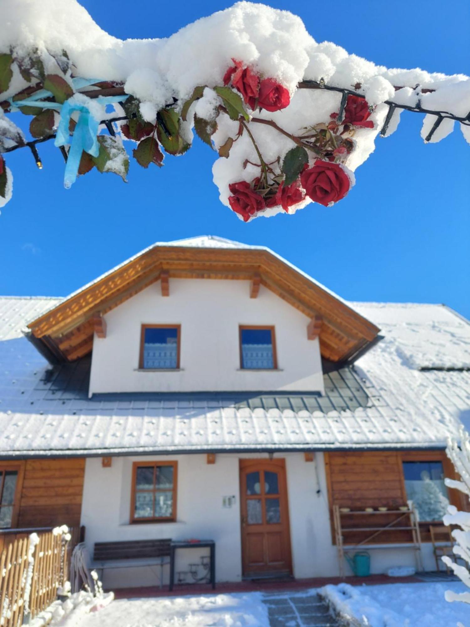 Al Sentiero Di Charly Bed & Breakfast Tarvisio Dış mekan fotoğraf